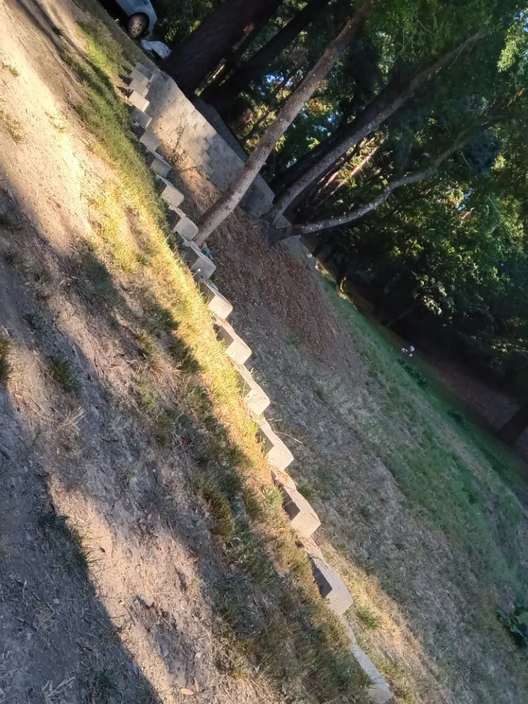 Reliable yard maintenance for residential properties in Los Gatos, CA by F&J Outdoor Service