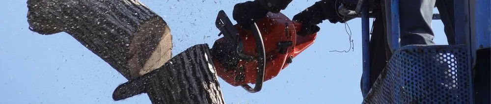 Custom residential landscaping experts serving Woodstock, IL - FJ Tree Services