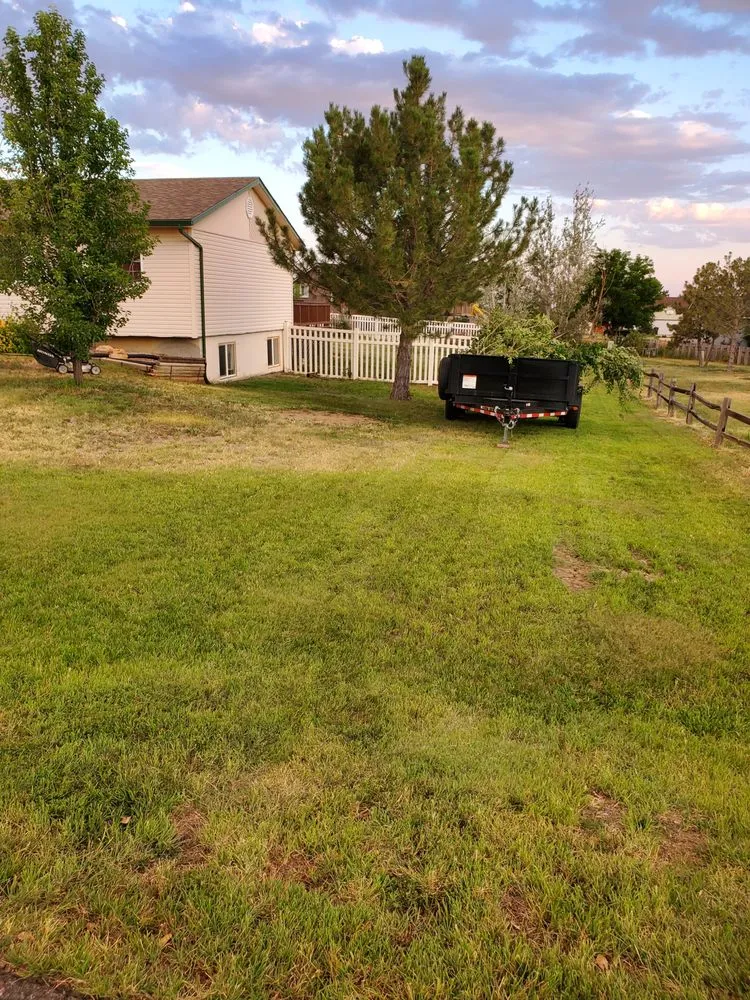Local yard maintenance experts serving Fountain, CO - FJM Landscaping
