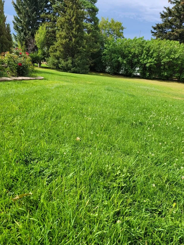 Local landscaping services for year-round maintenance in Idaho Falls, ID by Fjords Lawn Care