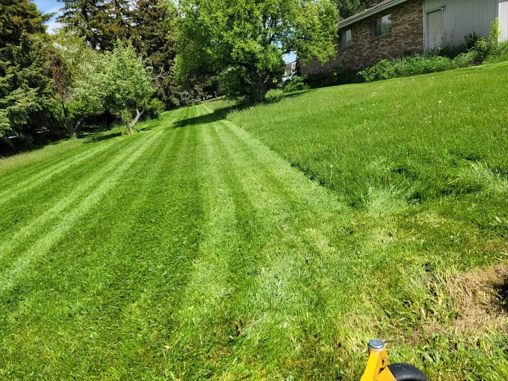 Expert yard maintenance in Idaho Falls, ID by Fjords Lawn Care