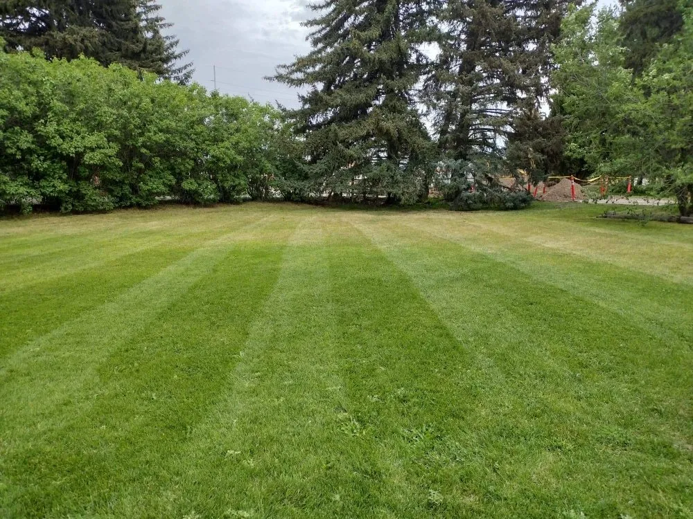 Trusted yard cleanup service in Idaho Falls, ID by Fjords Lawn Care