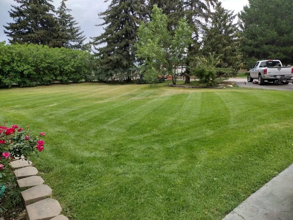 Professional yard cleanup service experts serving Idaho Falls, ID - Fjords Lawn Care