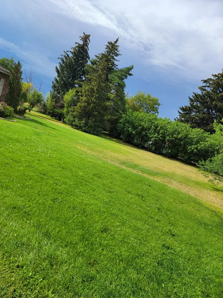Top-rated landscaping services experts serving Idaho Falls, ID - Fjords Lawn Care