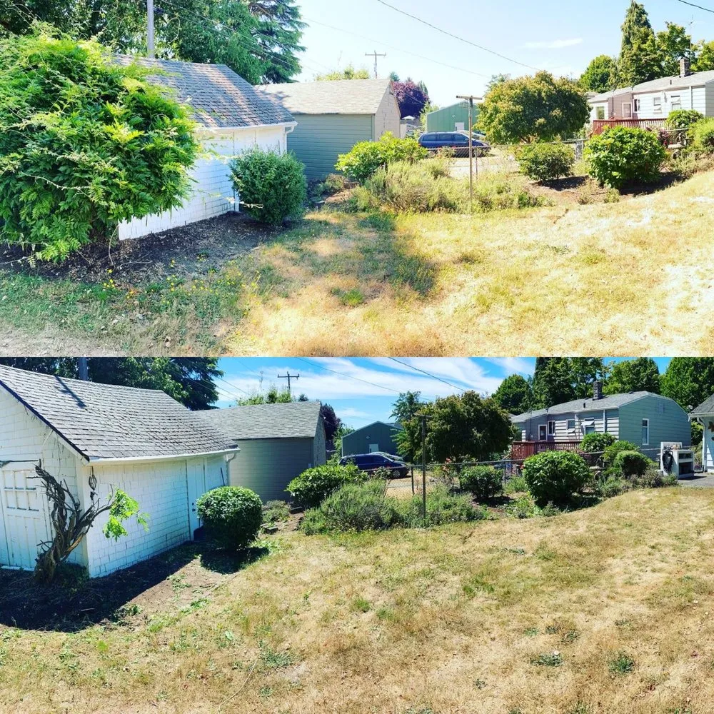 Local residential landscaping for year-round maintenance across Federal Way, WA - FJS Lanscaping