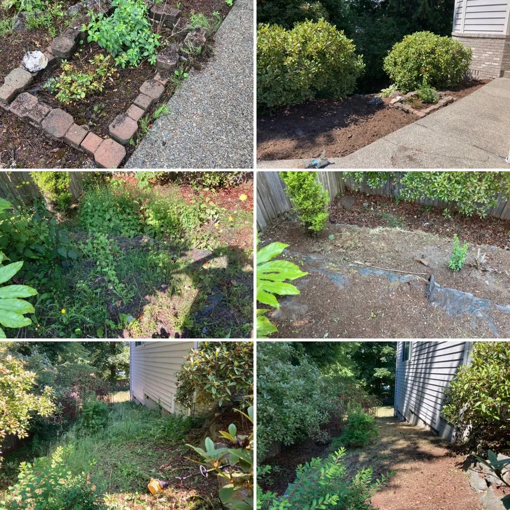 Professional yard maintenance near you across Federal Way, WA - FJS Lanscaping