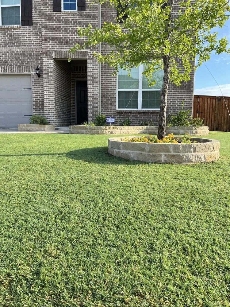 Local lawn care service for homes across Prosper, TX - FJV Landscape and Irrigation