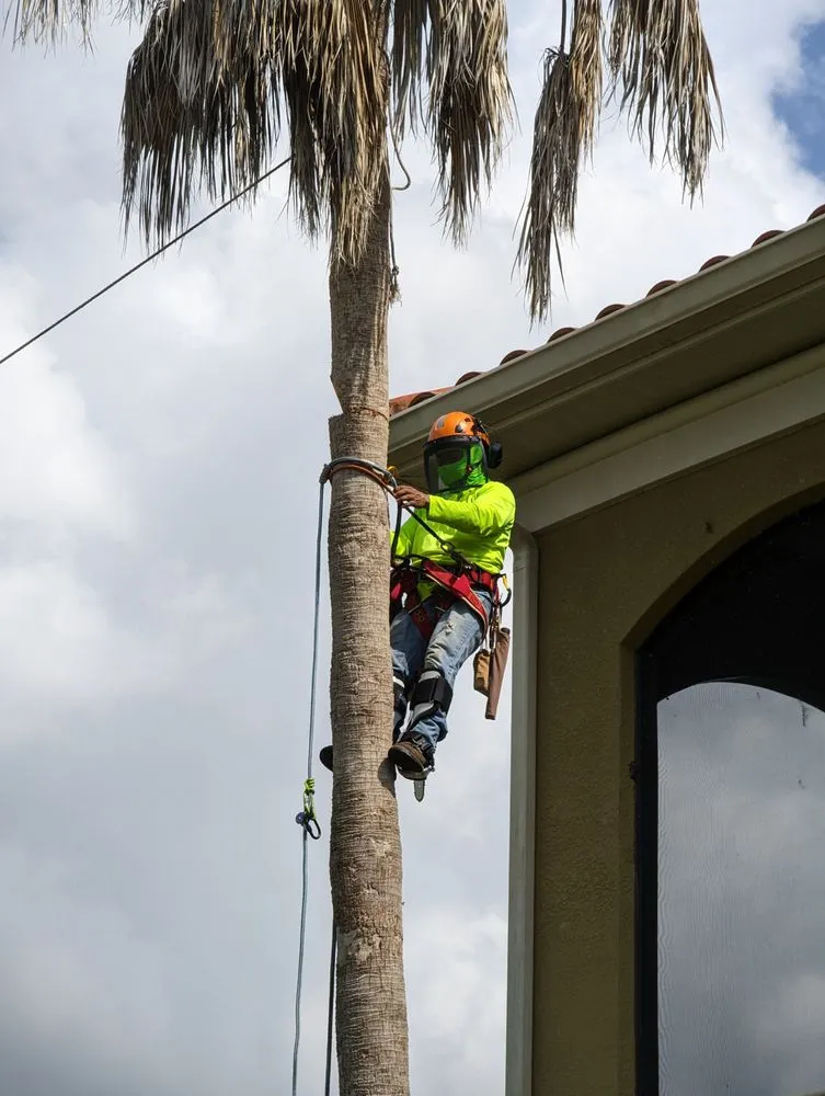 Trusted lawn care service experts serving Plant City, FL - F&K Lawn and Tree Care