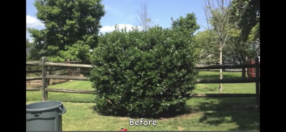 Trusted garden landscaping experts serving Queen Creek, AZ - FKR landscaping