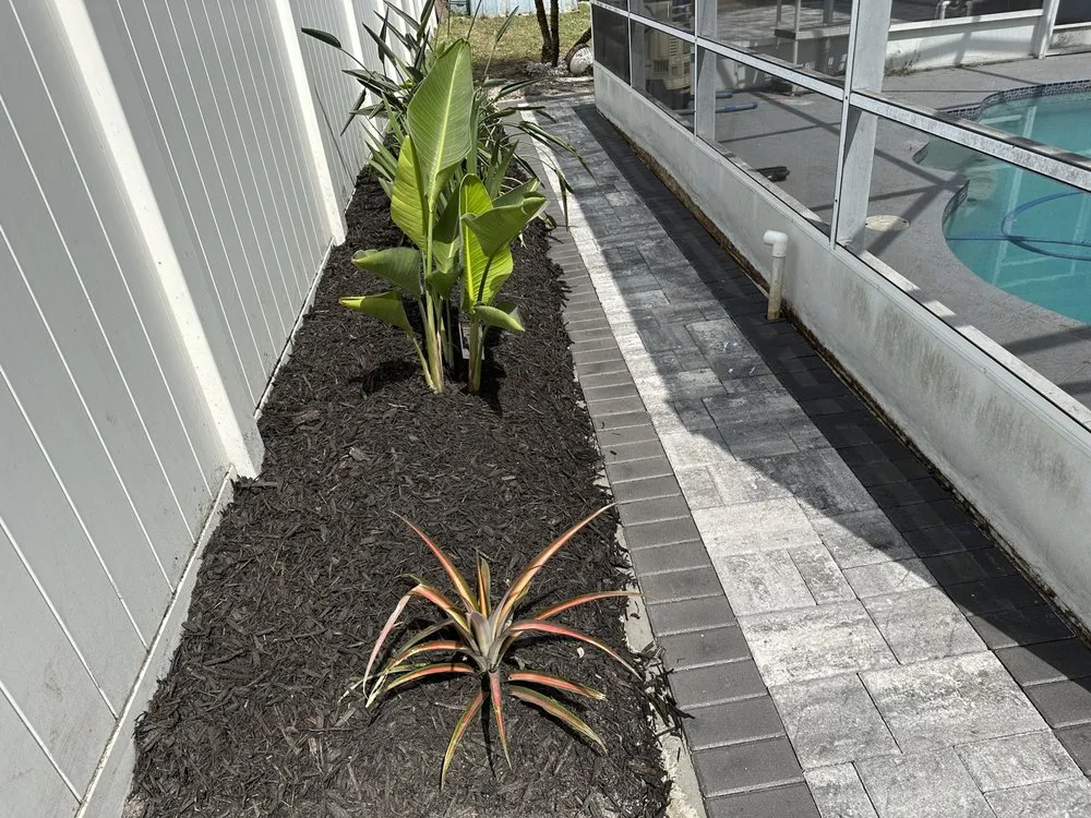 Affordable lawn care service for beautiful yards across Windermere, FL - FL Epic Lawns