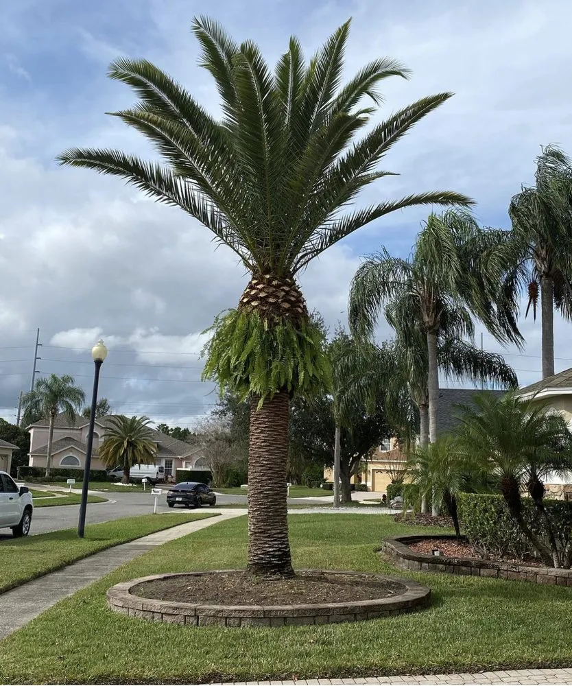 Custom landscaping services in Windermere, FL by FL Epic Lawns