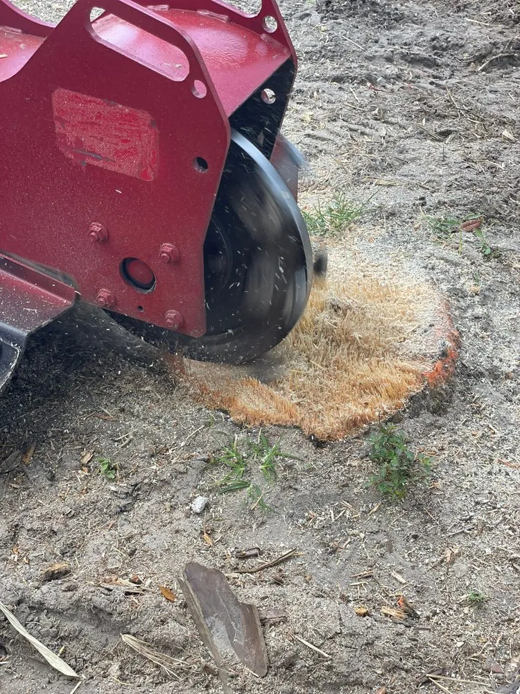 Custom residential landscaping for residential properties in Windermere, FL by FL Epic Lawns