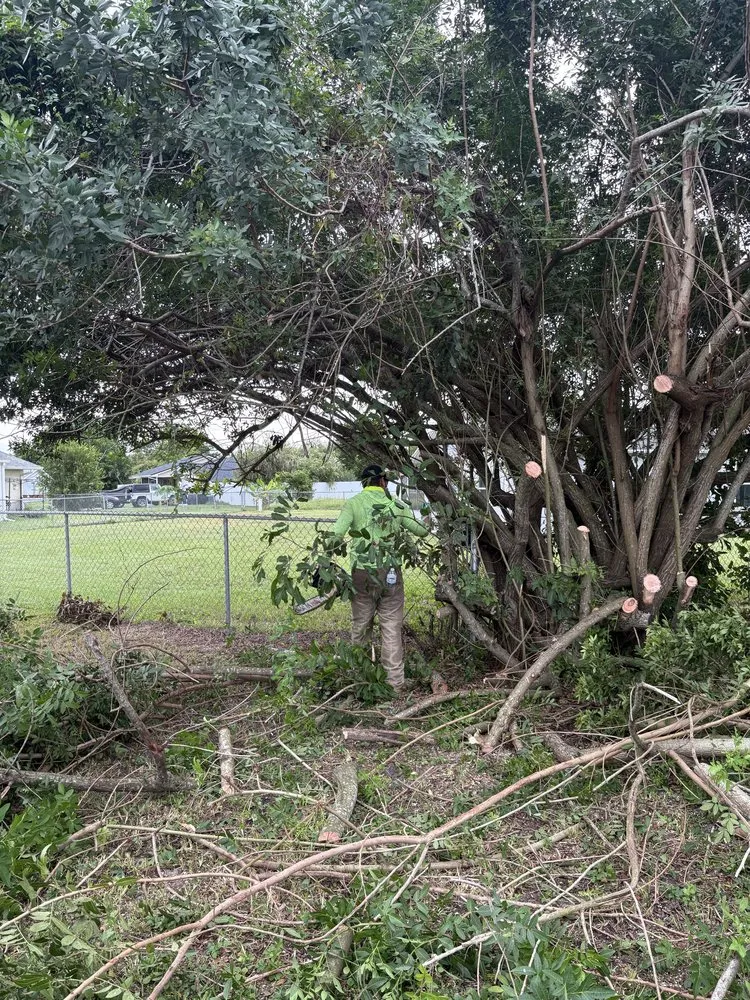 Expert outdoor landscaping in Lehigh Acres, FL by FL Fast & Safe Services