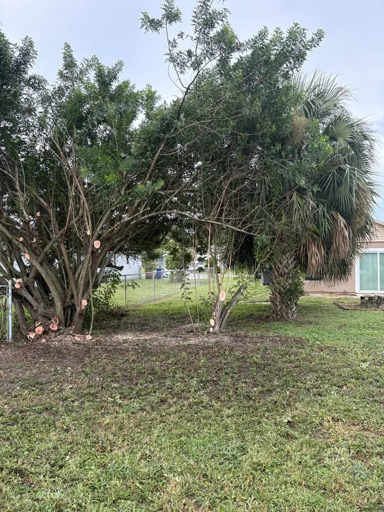 Top-rated residential landscaping for outdoor upgrades in Lehigh Acres, FL by FL Fast & Safe Services