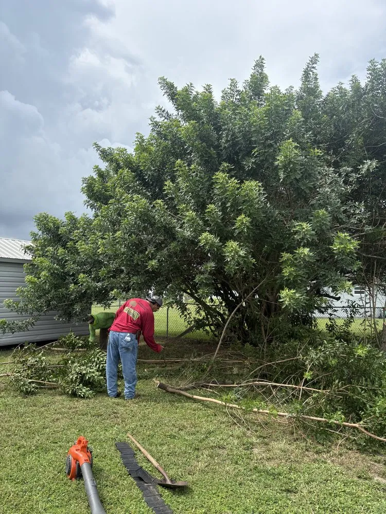 Professional outdoor landscaping in Lehigh Acres, FL by FL Fast & Safe Services