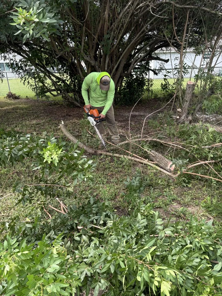 Custom landscaping services in Lehigh Acres, FL - FL Fast & Safe Services