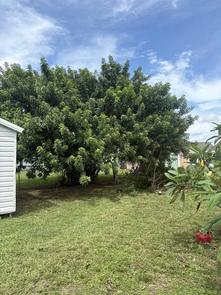 Affordable lawn care service in Lehigh Acres, FL - FL Fast & Safe Services