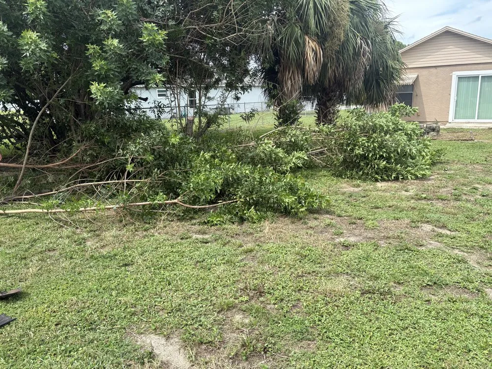 Custom yard cleanup service in Lehigh Acres, FL by FL Fast & Safe Services