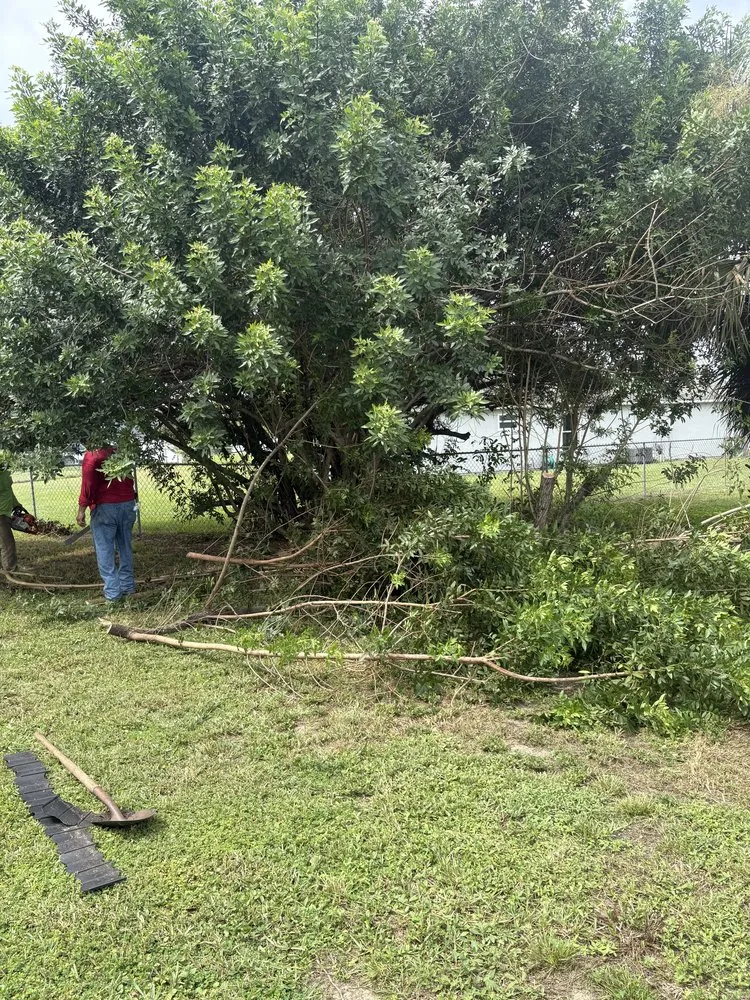 Trusted yard maintenance in Lehigh Acres, FL by FL Fast & Safe Services