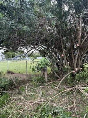 FL Fast & Safe Services Logo