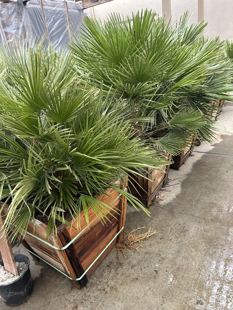 Professional landscaping services in St. George, UT by FL Landscape