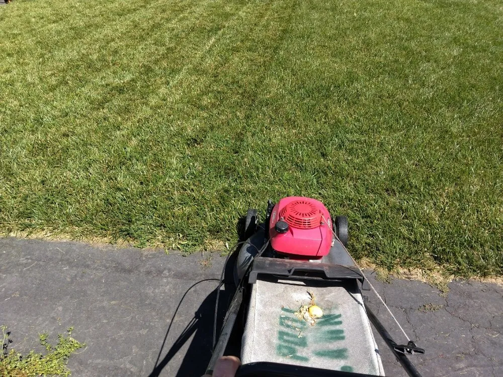 Affordable lawn care service in Vacaville, CA - FL pool lawn care
