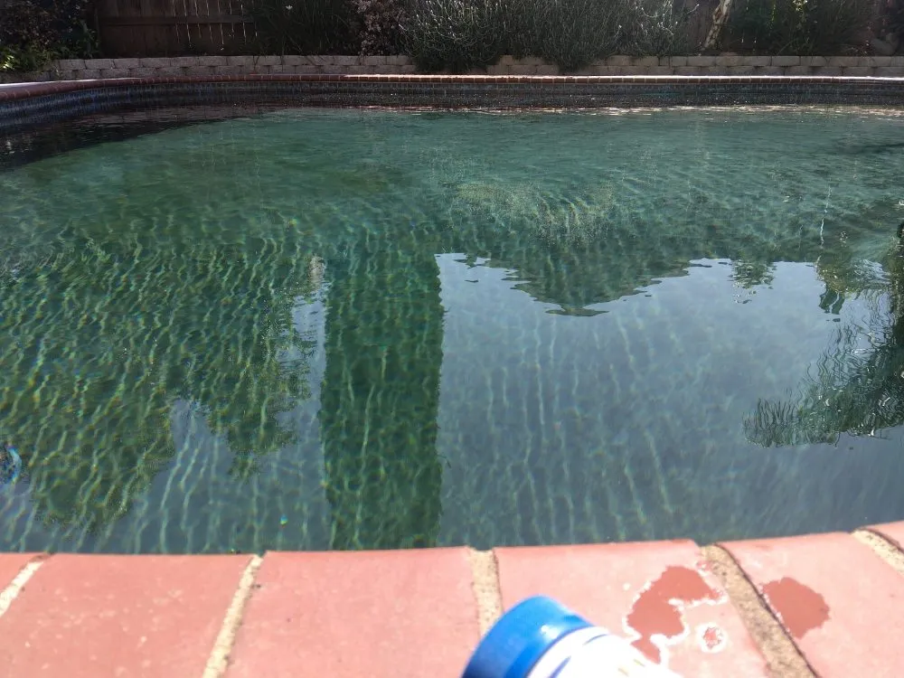 Expert landscaping services for beautiful yards across Vacaville, CA - FL pool lawn care