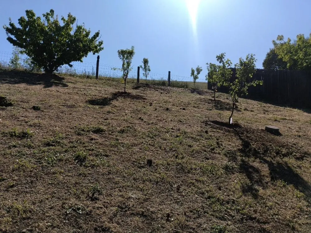 Affordable landscaping services in Vacaville, CA - FL pool lawn care