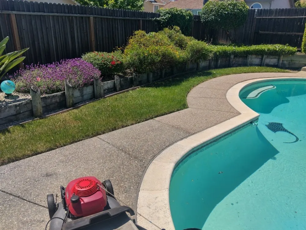 Affordable yard maintenance experts serving Vacaville, CA - FL pool lawn care