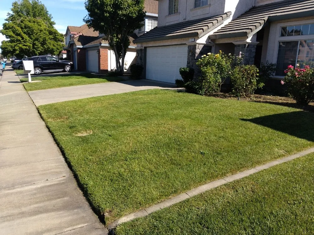 Trusted yard cleanup service in Vacaville, CA by FL pool lawn care