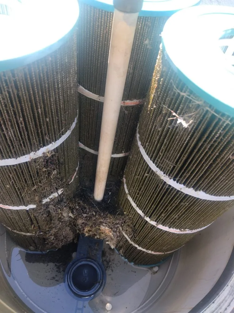 Custom landscaping services in Vacaville, CA by FL pool lawn care