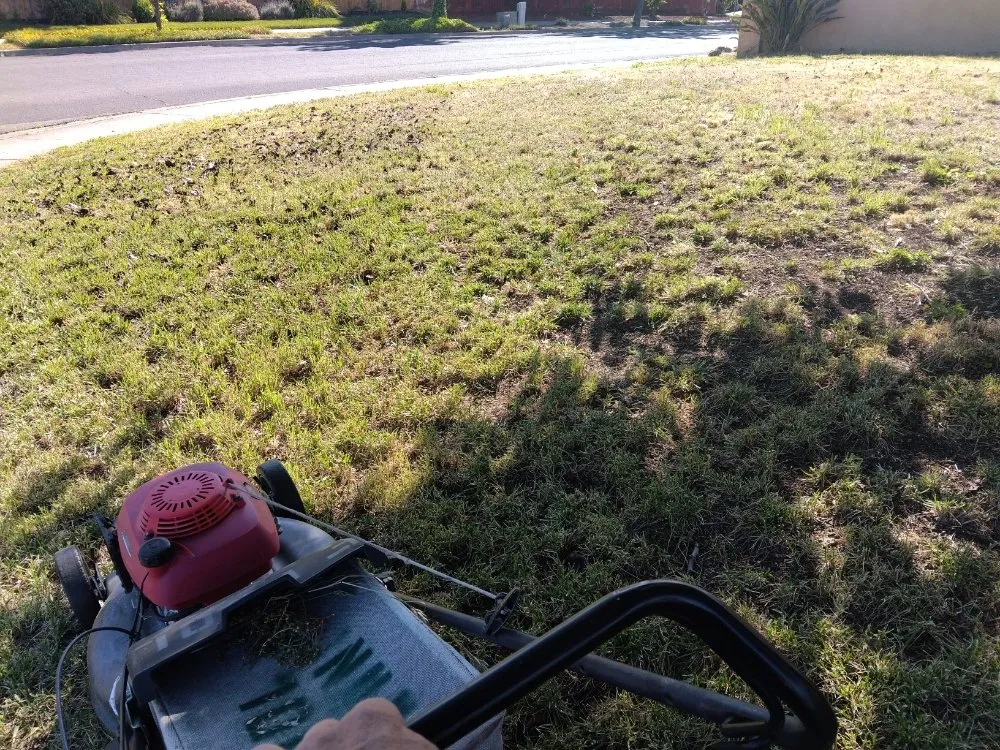 Trusted landscape installation for outdoor upgrades across Vacaville, CA - FL pool lawn care