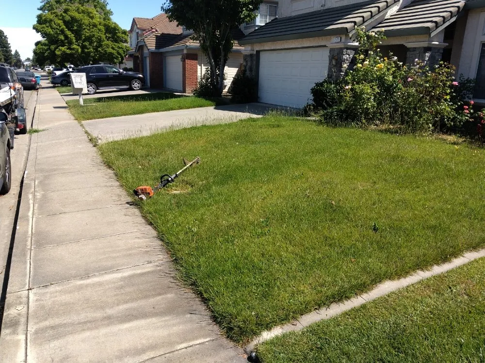 Top-rated lawn care service for outdoor upgrades across Vacaville, CA - FL pool lawn care