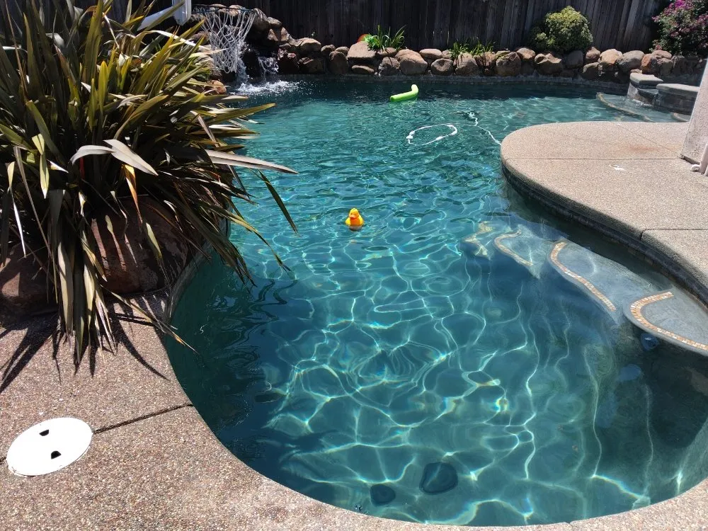 Reliable landscaping services in Vacaville, CA - FL pool lawn care