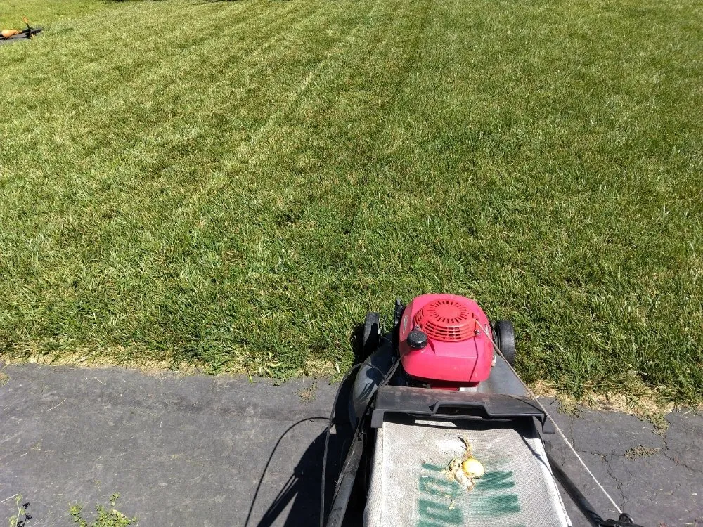 Top-rated outdoor landscaping in Vacaville, CA by FL pool lawn care