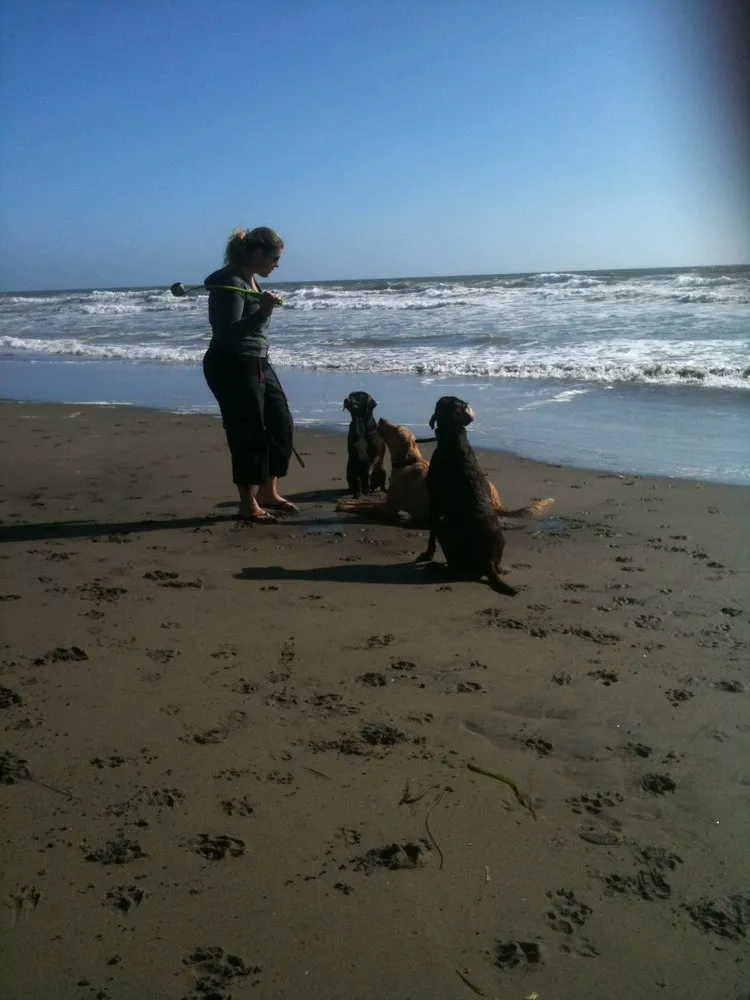 Trusted landscape design for residential properties across Vacaville, CA - FL pool lawn care