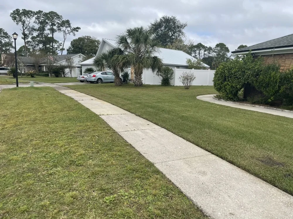 Professional outdoor landscaping in Jacksonville, FL by Fla lawn pros