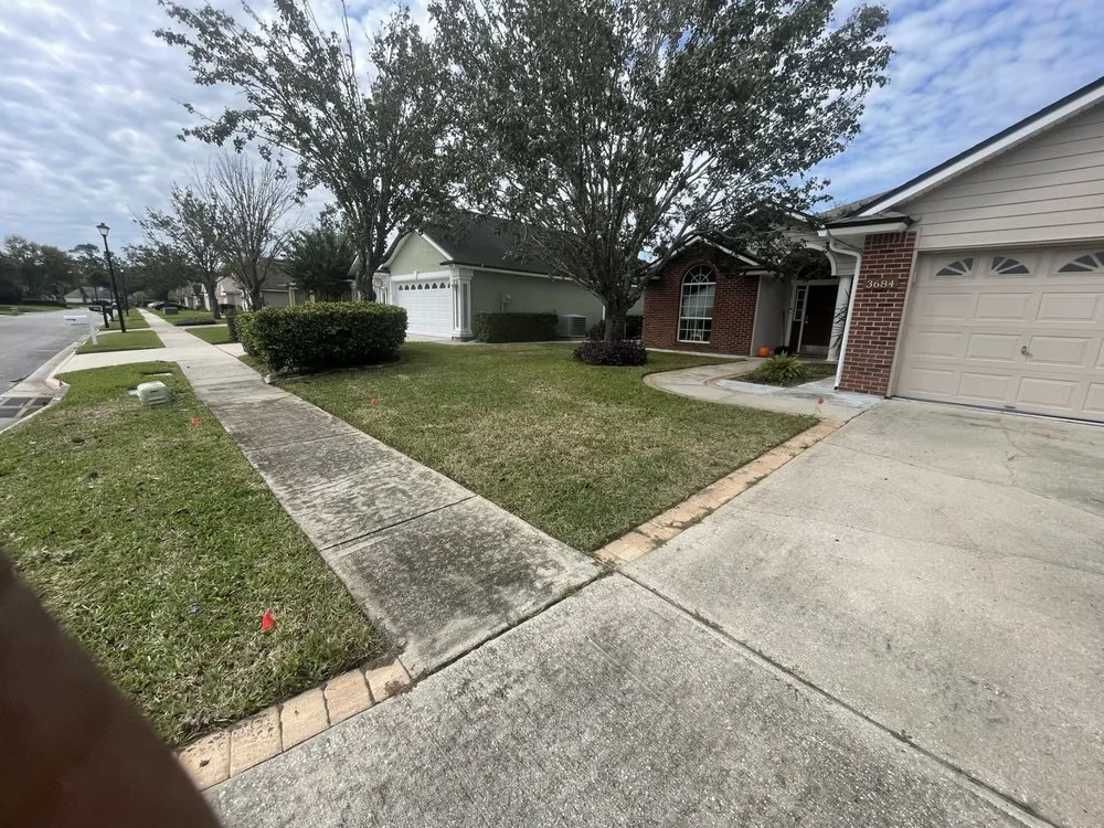 Expert yard cleanup service experts serving Jacksonville, FL - Fla lawn pros