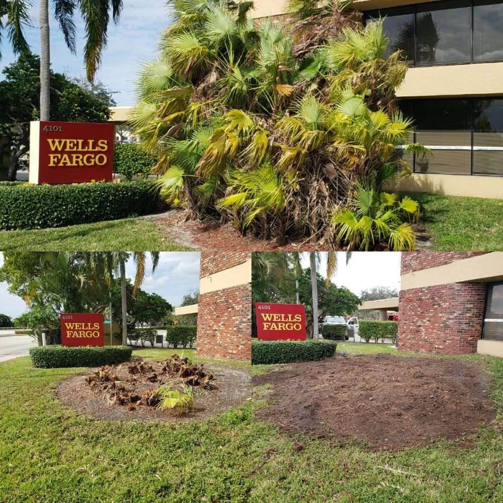 Affordable landscape design for residential properties in Miami, FL by Fla Upkeep