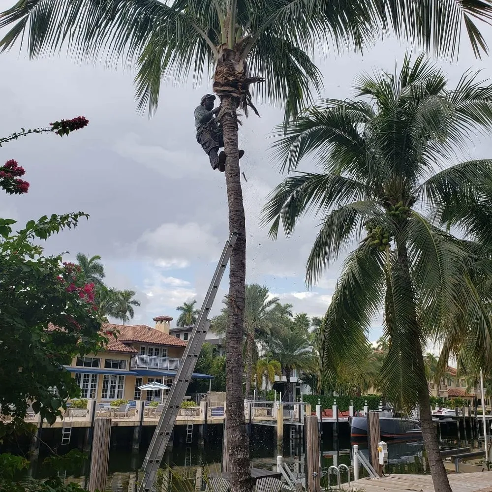 Reliable yard cleanup service in Miami, FL by Fla Upkeep