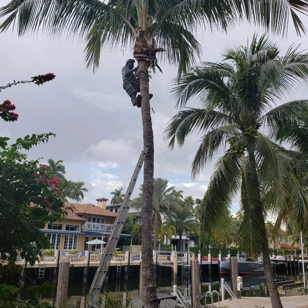 Local landscaping services for outdoor upgrades across Miami, FL - Fla Upkeep