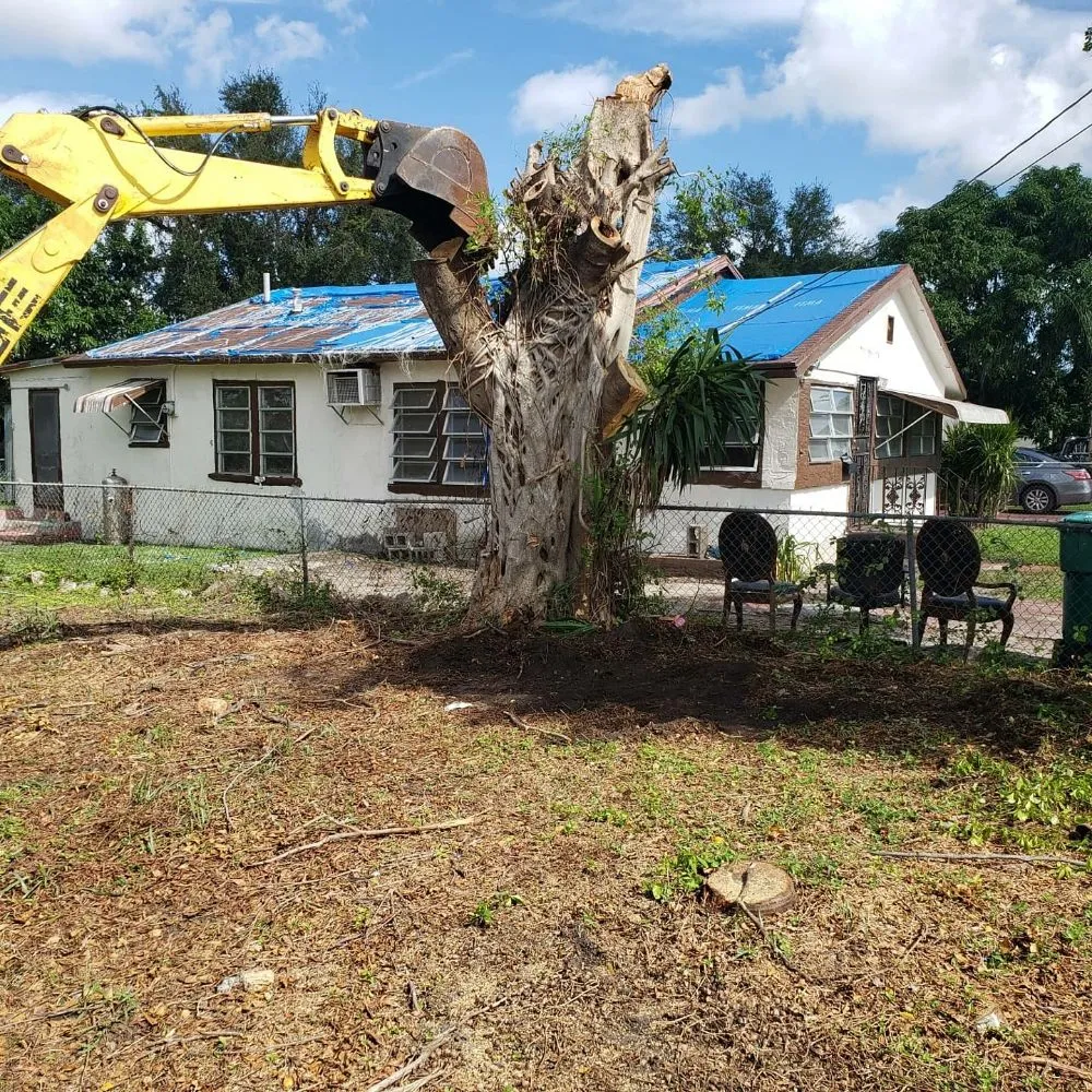 Reliable landscape installation in Miami, FL by Fla Upkeep