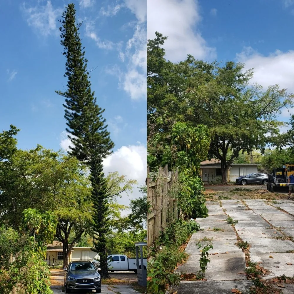 Custom residential landscaping for beautiful yards across Miami, FL - Fla Upkeep