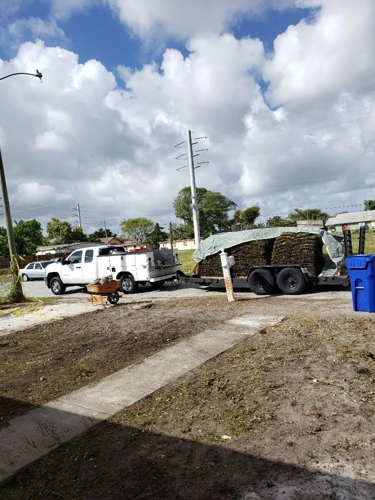 Affordable outdoor landscaping in Miami, FL - Fla Upkeep