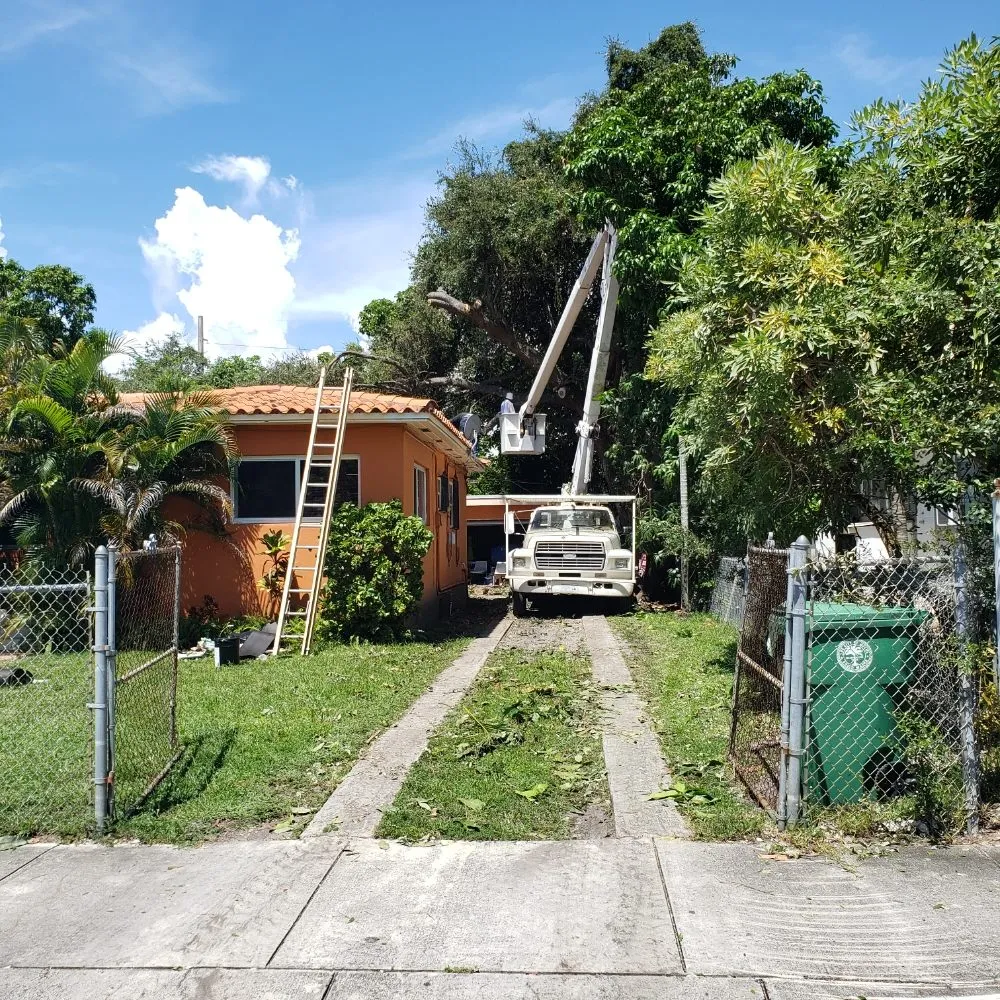 Expert landscape installation for year-round maintenance across Miami, FL - Fla Upkeep