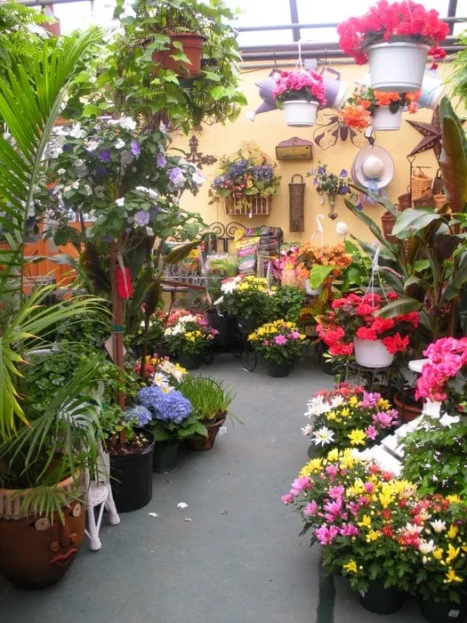 Local lawn mowing service for year-round maintenance in Moorestown, NJ by Flagg's Garden Center & Landscaping