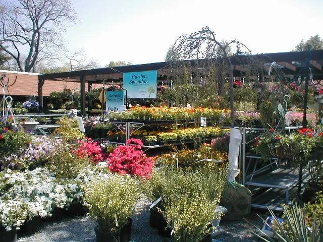 Expert outdoor landscaping in Moorestown, NJ - Flagg's Garden Center & Landscaping