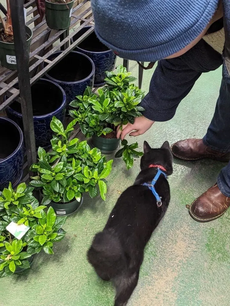 Affordable garden landscaping for year-round maintenance in Moorestown, NJ by Flagg's Garden Center & Landscaping