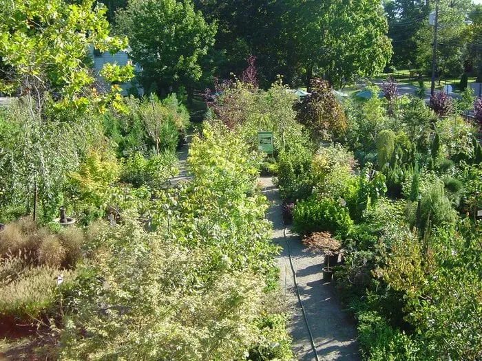 Trusted landscape installation in Moorestown, NJ - Flagg's Garden Center & Landscaping