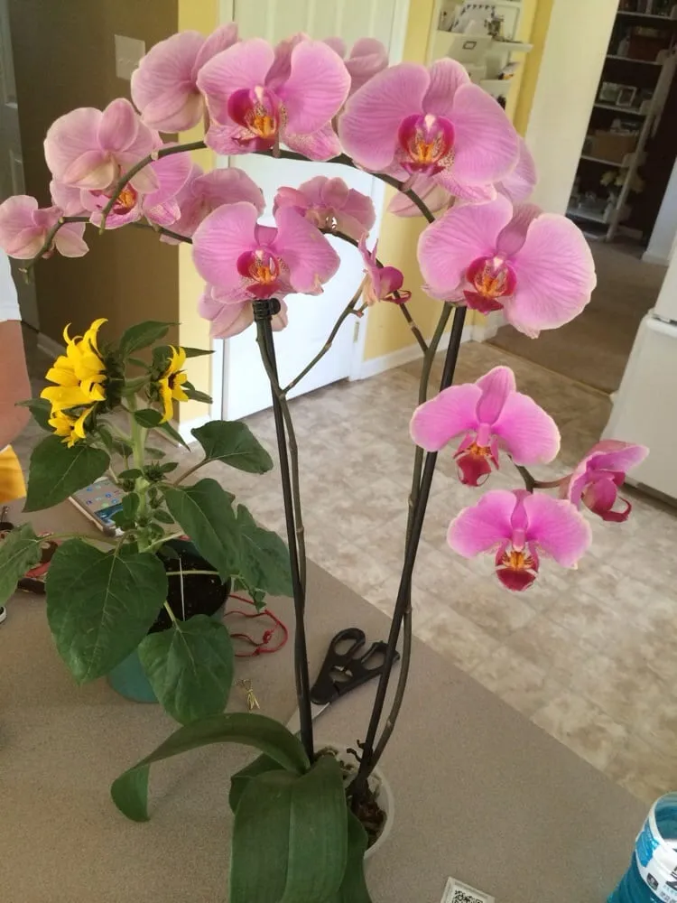 Reliable yard cleanup service experts serving Moorestown, NJ - Flagg's Garden Center & Landscaping